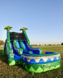 18 FT. Tropical Double Water Slide