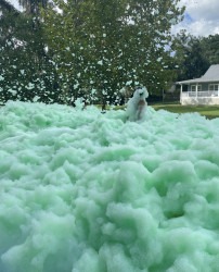 IMG 2188 1747760911 Color Foam Additive