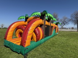 IMG 8584 1747962069 42ft Tropical Obstacle
