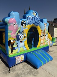 IMG 2569 1756172863 Blue Puppy Combo (toddler unit)