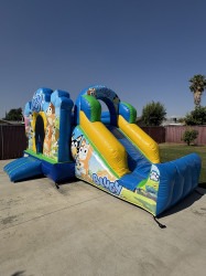 IMG 2575 1756172865 Blue Puppy Combo (toddler unit)