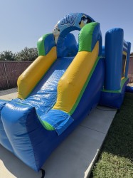 IMG 2580 1756172865 Blue Puppy Combo (toddler unit)