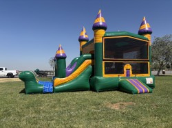 IMG 3623 1761079106 Little Green Monster Combo